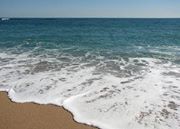 1461473_555372354549284_1149775383_n