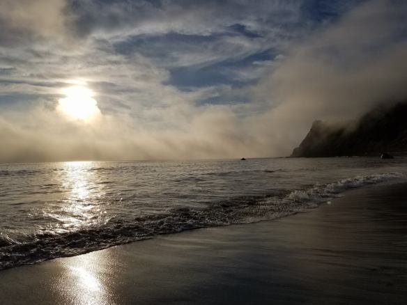 20597516_1443278495758661_8064433811321738296_n